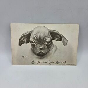 Antique Smile Darn You Smile Dog Postcard Colby 1909 Grand Rapids Michigan 1910